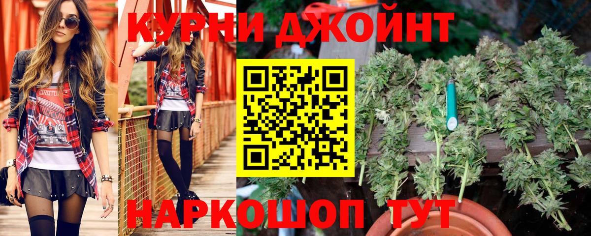 Канабис AK-47  Вход с VPN  Артёмовский  Конопля OG Kush  Бошки Шишки гибрид 
